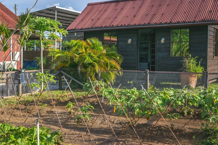 Passion Food and Wines, Food in Paramaribo